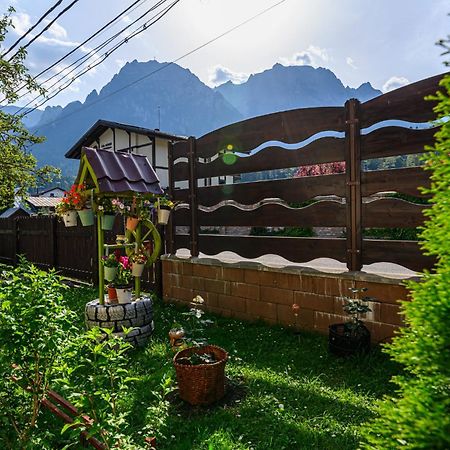 Casa Ramino Hotell Buşteni Exteriör bild
