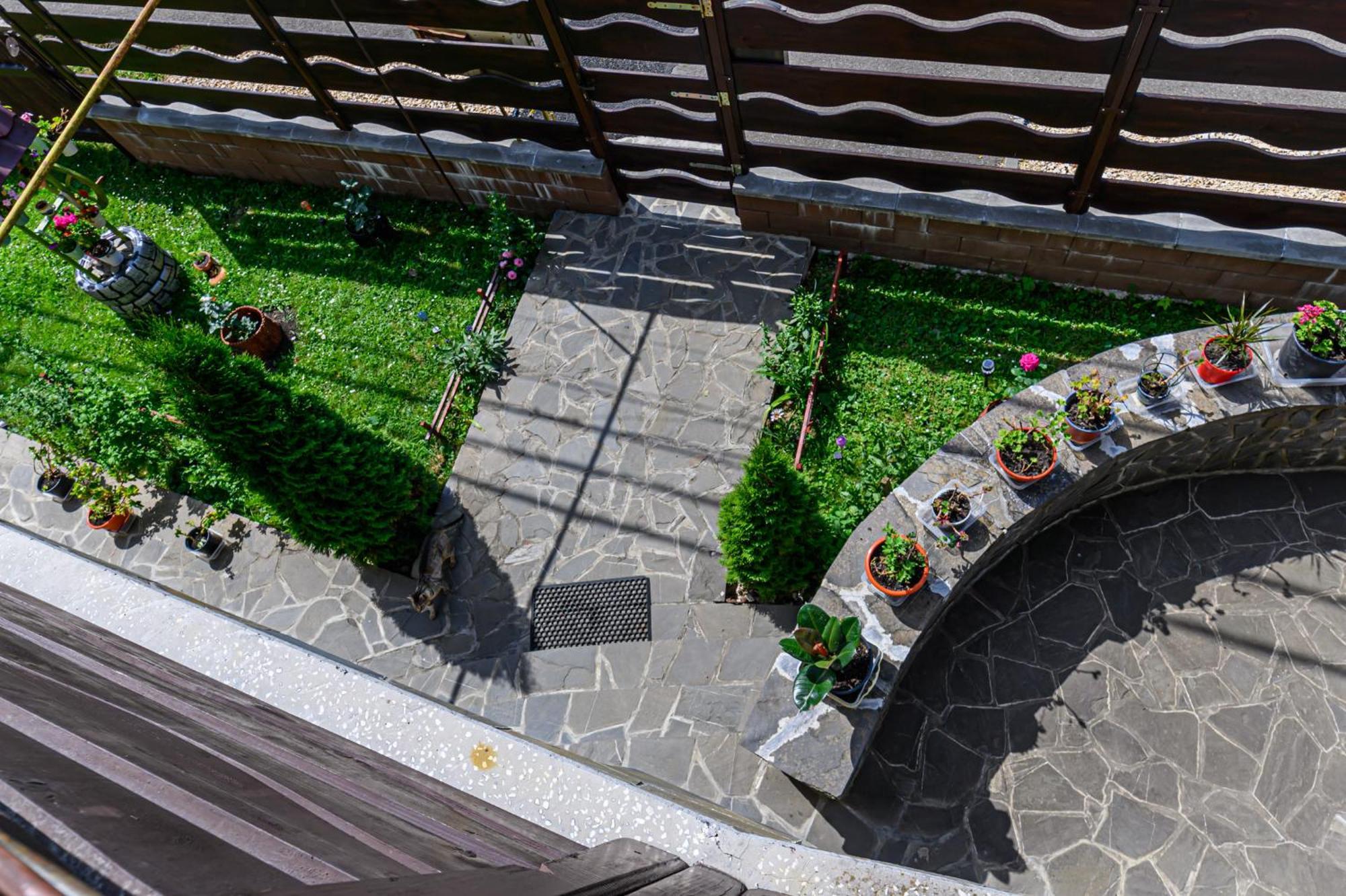 Casa Ramino Hotell Buşteni Exteriör bild